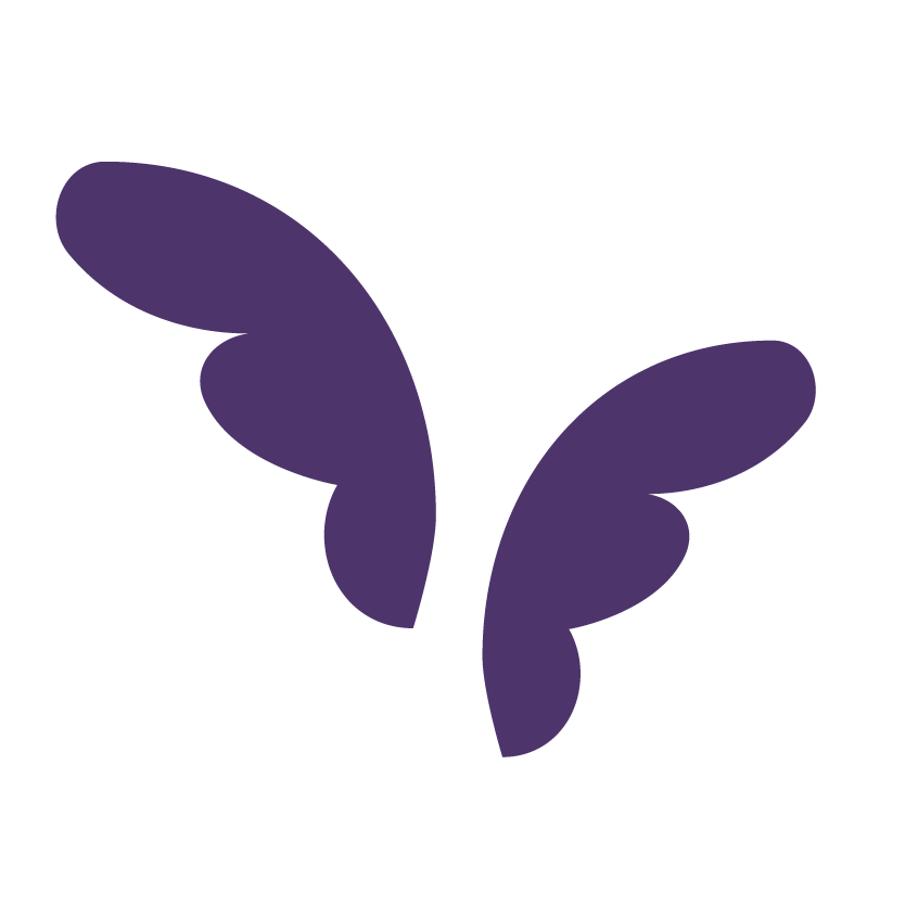 Fundación Felicidad por un Ángel